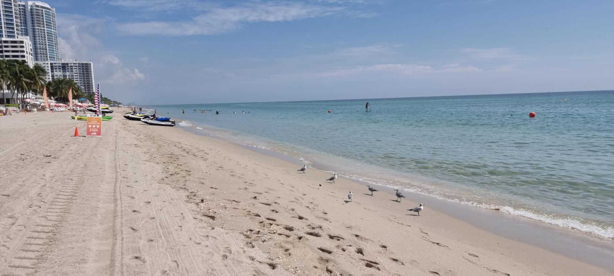 New Luxury Apartment 2Br 2Ba Direct Beach Access Hollywood Exteriör bild