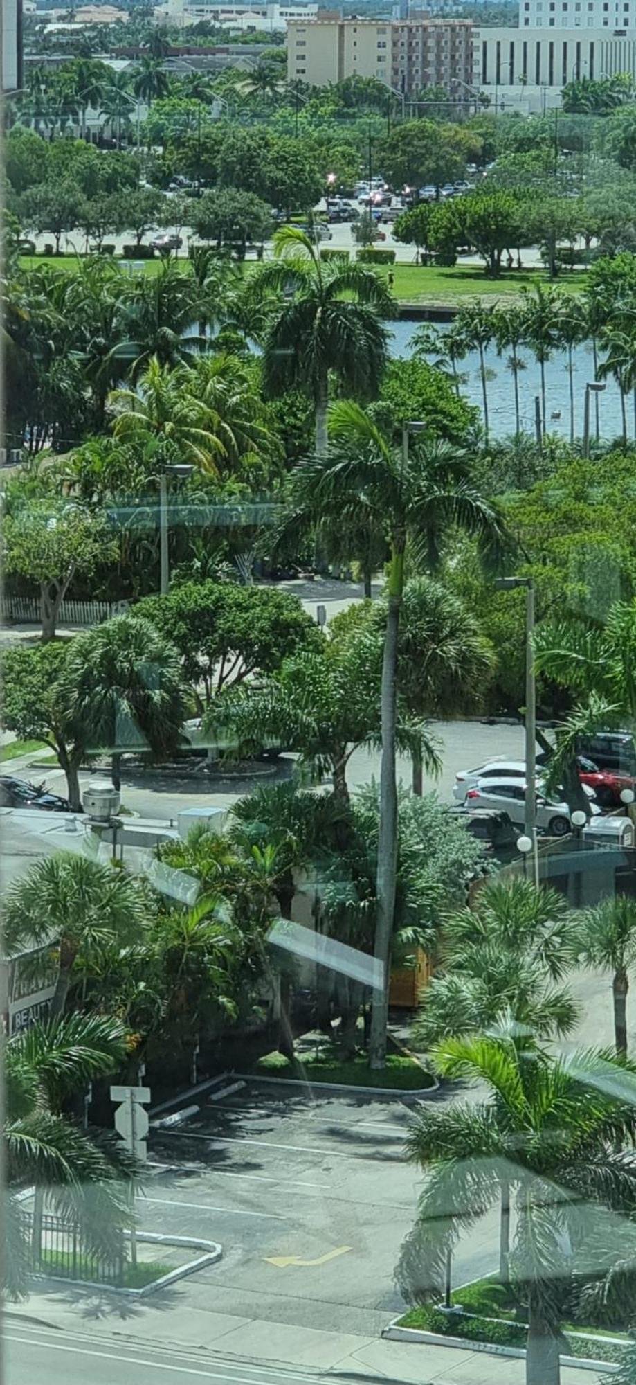 New Luxury Apartment 2Br 2Ba Direct Beach Access Hollywood Exteriör bild